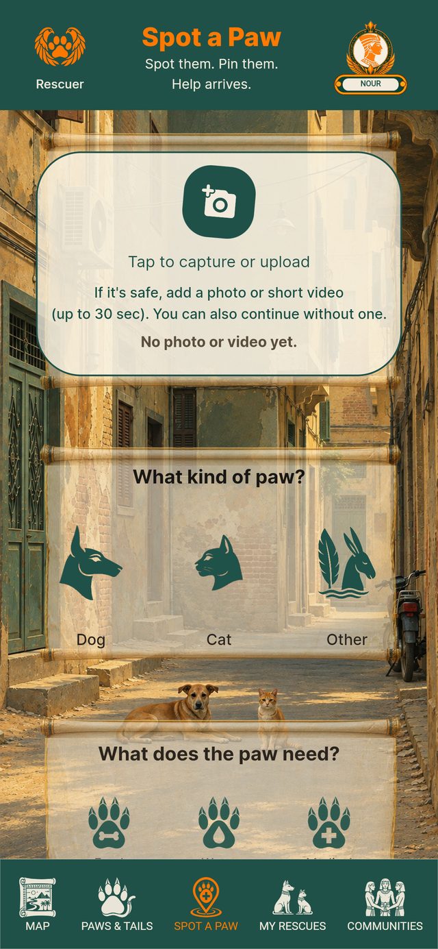 The Spot a Paw report form